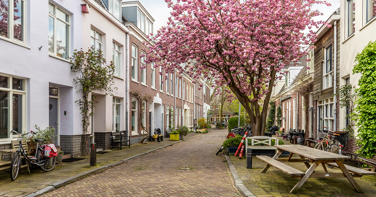 Een straat met een boom in het midden, omgeven door gebouwen en een helderblauwe lucht op de achtergrond.